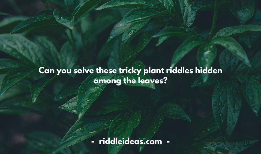 Plant Riddles