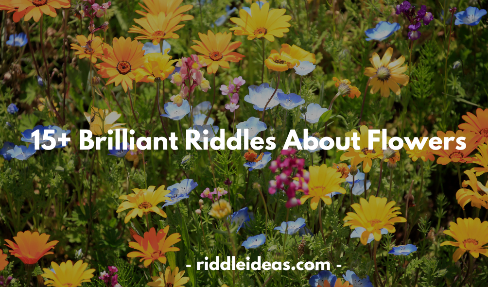 Riddles About Flowers 