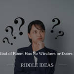 What Kind of Room Has No Windows or Doors Riddles
